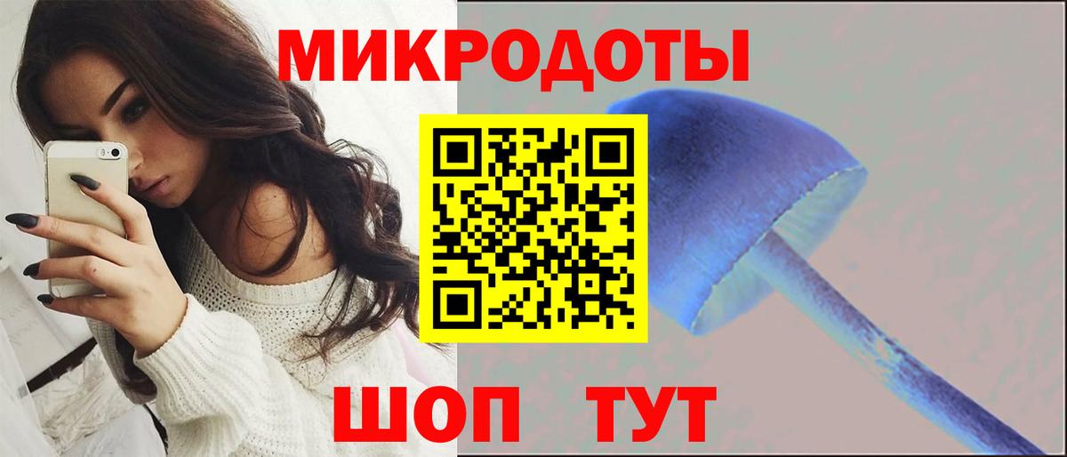 Псилоцибиновые грибы Psilocybe  наркотики  Янаул  Вход с VPN 